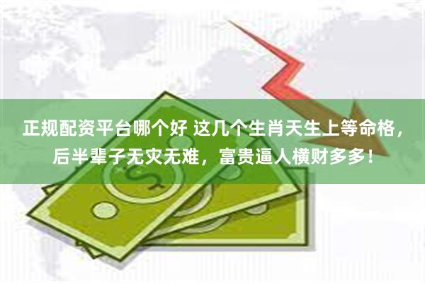 正规配资平台哪个好 这几个生肖天生上等命格，后半辈子无灾无难，富贵逼人横财多多！