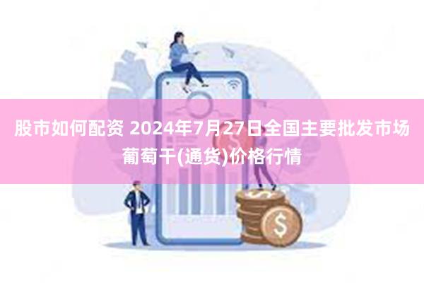 股市如何配资 2024年7月27日全国主要批发市场葡萄干(通货)价格行情