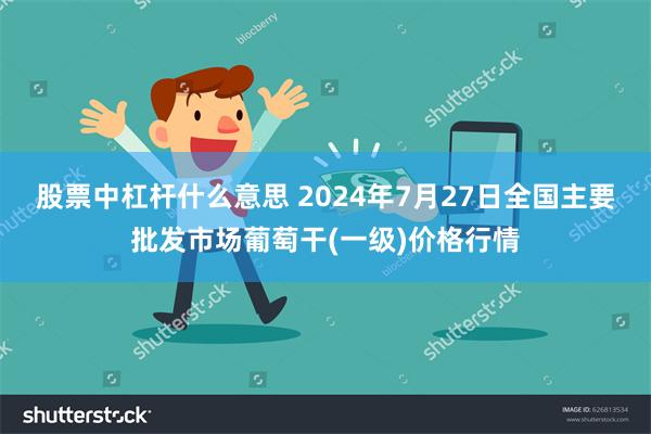股票中杠杆什么意思 2024年7月27日全国主要批发市场葡萄干(一级)价格行情