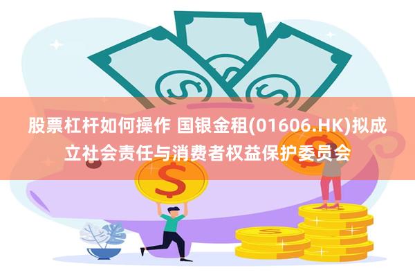 股票杠杆如何操作 国银金租(01606.HK)拟成立社会责任与消费者权益保护委员会