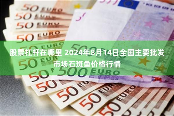 股票杠杆在哪里 2024年8月14日全国主要批发市场石斑鱼价格行情