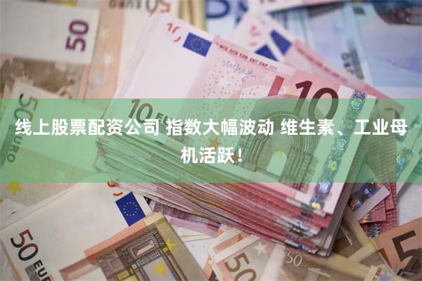 线上股票配资公司 指数大幅波动 维生素、工业母机活跃！