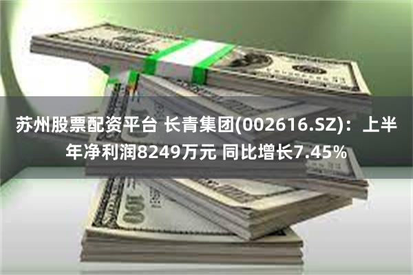 苏州股票配资平台 长青集团(002616.SZ)：上半年净利润8249万元 同比增长7.45%