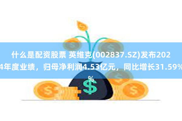 什么是配资股票 英维克(002837.SZ)发布2024年度业绩，归母净利润4.53亿元，同比增长31.59%